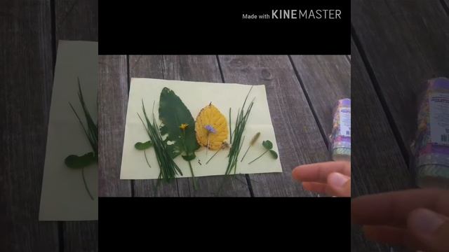 Делаем поделку-аппликацию из природных материалов на природе!!! смотреть онлайн