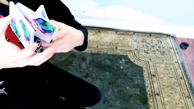 Sybil Cat | Подснятие сибил | обучение кардистри |