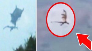 5 мифических существ снятых на камеру