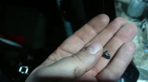 Пистон крепления уплотнителя задней двери Nissan X-Trail