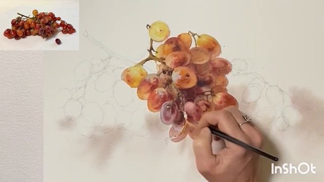 Виноград, акварель.  Марина Ласаева. #акварель #watercolor