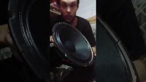 акустический динамик Belcat 1208L120