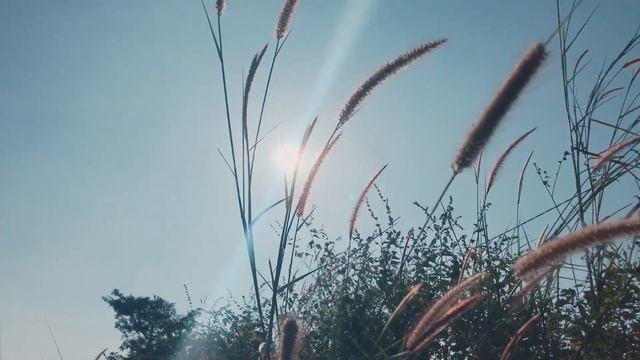 7 САМЫХ НЕОБЫКНОВЕННЫХ БАКТЕРИЙ НА ПЛАНЕТЕ