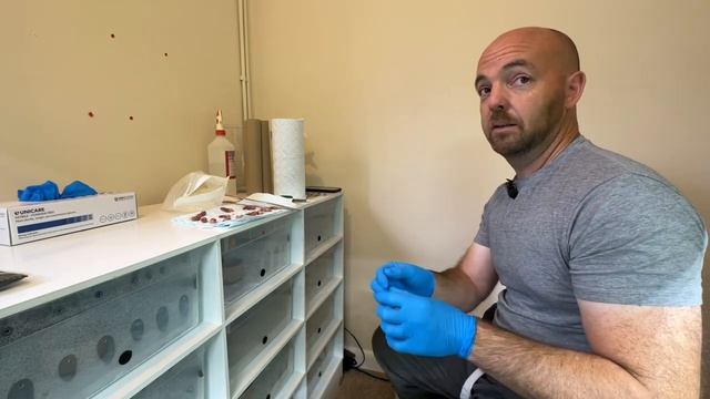 EXCLUSIVE REPTILE ROOM TOUR PART 2 | Establishing Green Tree Python Neonates and incubation! смотреть онлайн