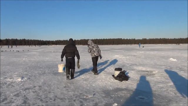 8- Наш улов! смотреть онлайн