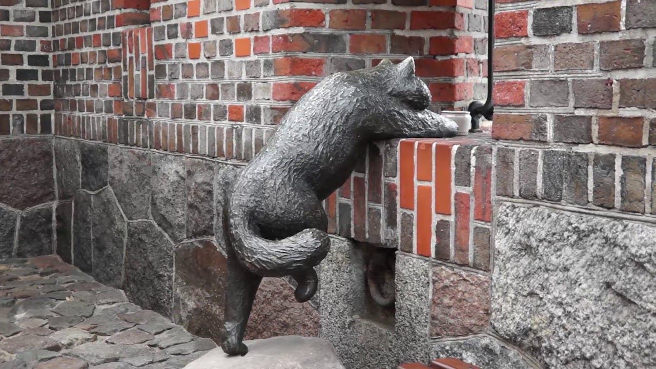 Калининград 2019 смотреть онлайн