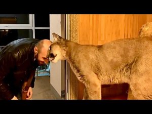 Пума Месси встречает Сашу 7 лет подряд! Самые искренние эмоции и преданность хозяину