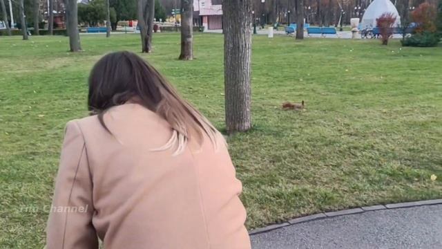VLOG? КАК ВЫГЛЯДИТ ЦЕНТРАЛЬНЫЙ ПАРК В ХАРЬКОВЕ В 2023❓ГУЛЯЕМ С ТИМОМ ПЕРВЫЙ РАЗ? смотреть онлайн