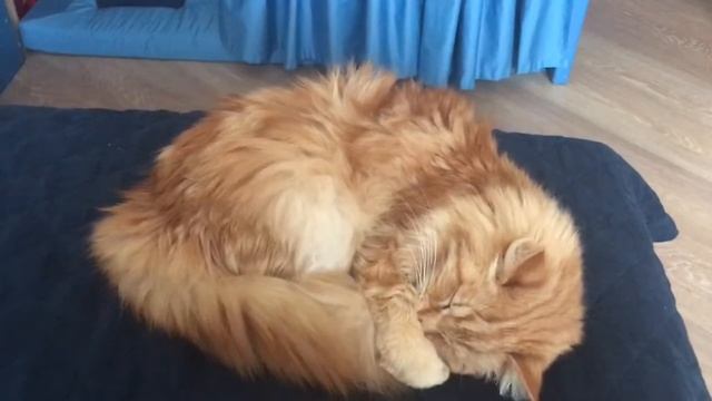 Как посчитать ЧДД смотреть онлайн