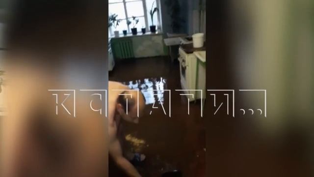 Из-за спиленных батарей затопило общежитие хим. завода "Заря" в Дзержинске смотреть онлайн