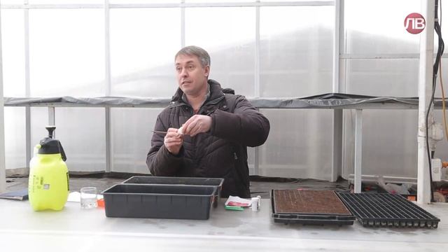 Передача про дачу | 11.02.22 смотреть онлайн