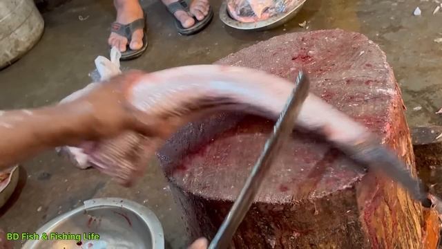 Amazing Cutting Skills | Giant Sola Fish Cleaning & Cutting By Expert Fish Cutter смотреть онлайн