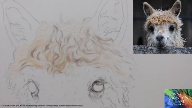 Live Draw Along and Chat | Alpaca | Curly Fur on Drafting Film | Part 1 смотреть онлайн
