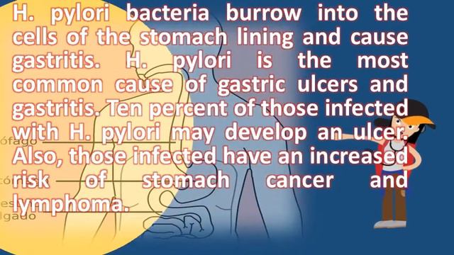 What is H pylori gastritis ? | Better Health Channel смотреть онлайн
