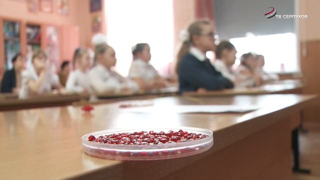 В Серпухове проходит муниципальный этап конкурса «Сердце отдаю детям» смотреть онлайн