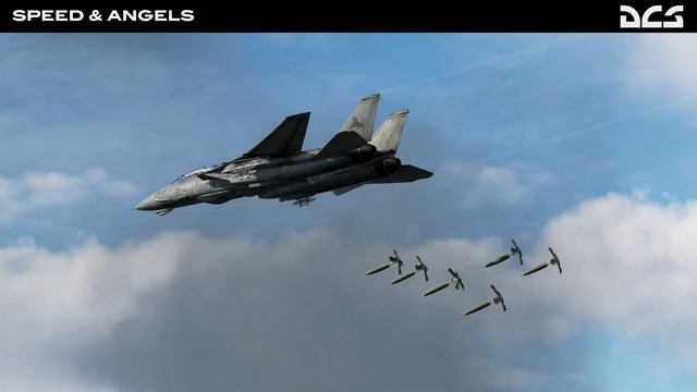 Speed & Angels: DCS F-14 Campaign Development Update смотреть онлайн