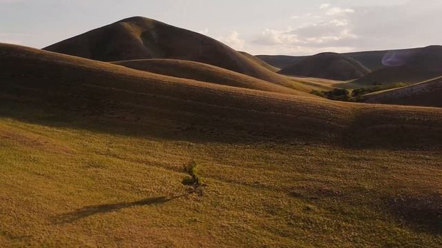 Долгие горы стихи и БочарОва смотреть онлайн