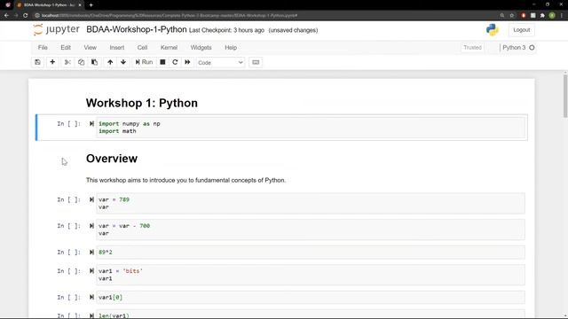 BITS Data Analytics Accelerator Info Session | Intro to Python смотреть онлайн