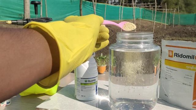 Syngenta Quantis + Ridomil Gold Fungicide | Exprimant Mix Testing (Agriculture)