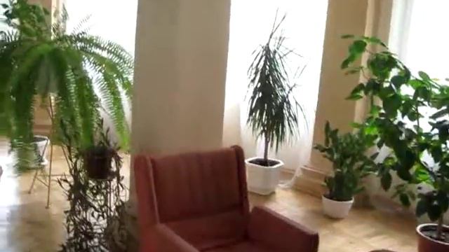 санаторий Одесса СБУ корпус 1 вай-файв зона красивые вазоны смотреть онлайн