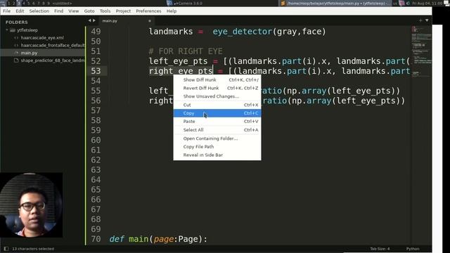 Flet Tutorial - Camera in Browser And Sleep Detection Face смотреть онлайн