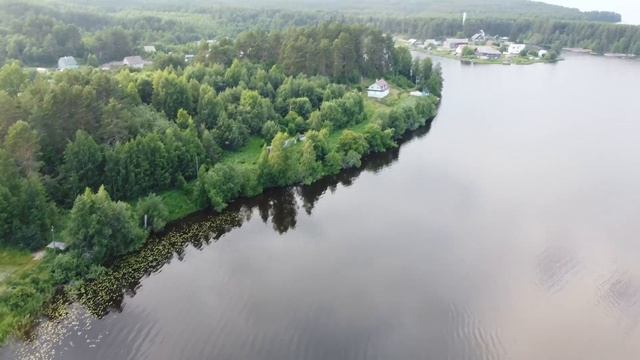 VID_20220719_152502_176.mp4.mov.mp4 смотреть онлайн