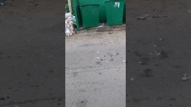 Город грязи зелёная улице смотреть онлайн