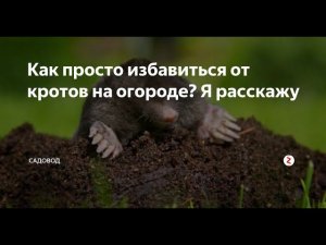 Как поймать крота. Как избавиться. Кротоловка. Отзывы покупателей №5.