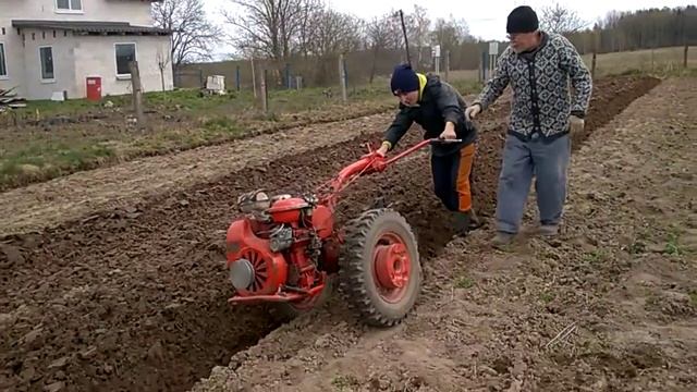 Дачный фитнес или опыт и сила. 1 мая 2020 г. Минск. Беларусь. смотреть онлайн