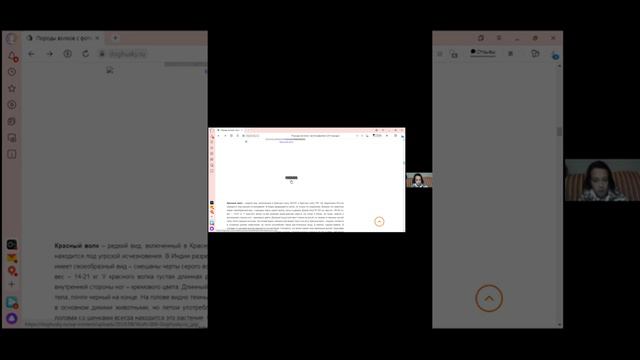 Восток - 23.11 2021 - Удивляемся с Григорий смотреть онлайн