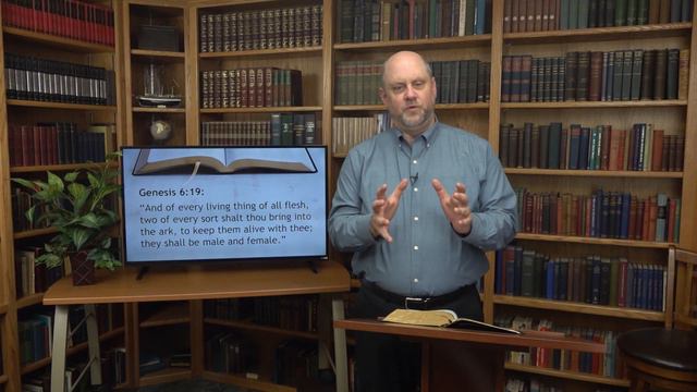 319. Major Events Of The Bible - Pt 2 | The Flood