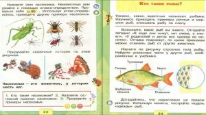 Кто такие рыбы? Окружающий мир. 1 класс, 1 часть. Учебник А. Плешаков стр. 34-35