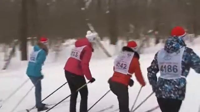 В Новочебоксарске 7 февраля впервые отметят День зимних видов спорта смотреть онлайн
