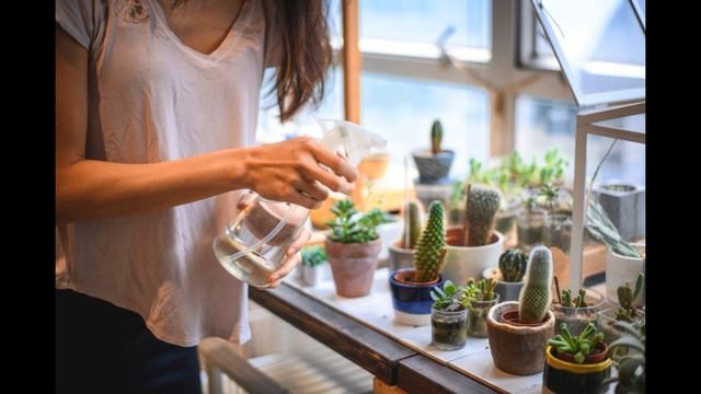 БЫТЬ ДОБРУ В ДОМЕ! Хорошие приметы от слепой бабы Нины из сериала 