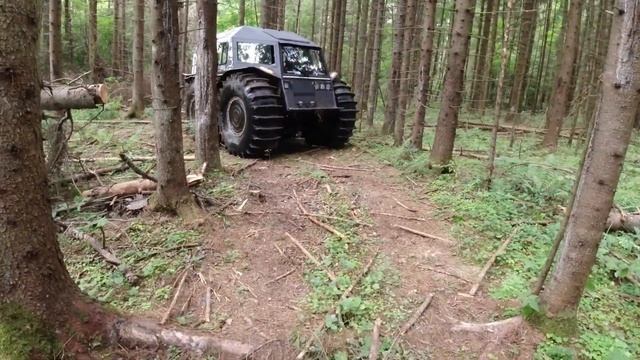 Шерп повис на дереве. Как Шерп едет по лесу? И еще немного болота...