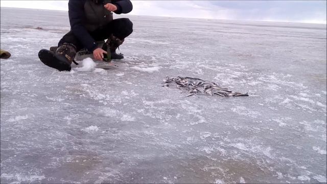 ловля корюшки смотреть онлайн