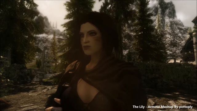 SKYRIM MODS: The Lily - Armour Mashup смотреть онлайн