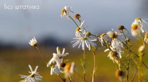 Как снимает Olympus E-PL9 в HD. Техническое видео.