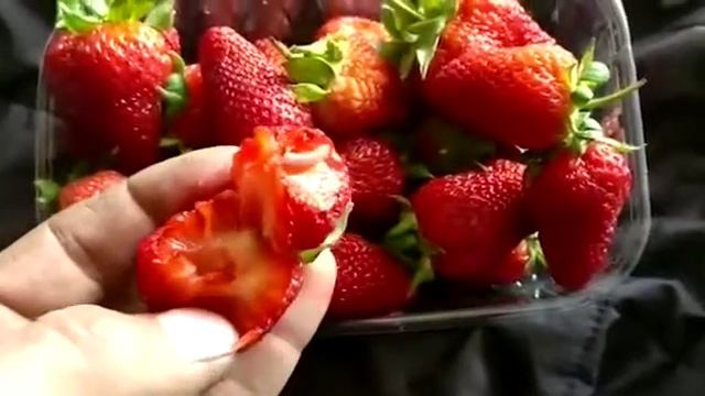 29 апреля 2020 г. смотреть онлайн