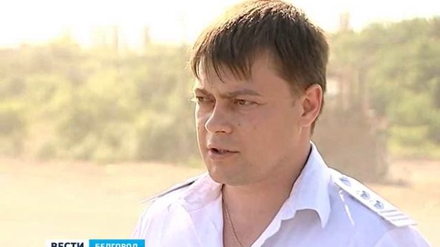 10 тонн сыра неизвестного происхождения отправлено на свалку смотреть онлайн