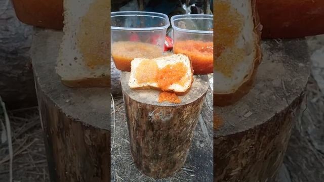 Две икры,какая вкуснее?!? смотреть онлайн