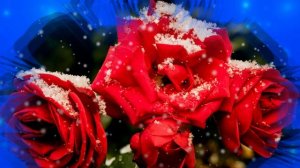 Футаж. Цветы на снегу 1  Footage. Flowers in the snow 1