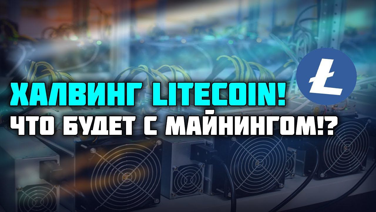 Халвинг Litecoin (LTC) - Как изменится доходность в майнинге!?, Что будет с курсом LTC?
