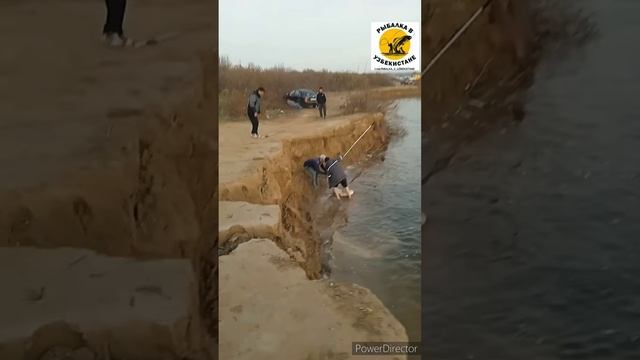 ЭТОТ ВИДЕО ВЗОРВАЛ В ЮТУБЕ #ПЕСТРЫЙ #РЫБА 20 КГ. ЛОВИЛИ НА СТРОГО ЗАПРЕЩЁННЫЙ ДЕРГАЧ. #shortsyoutube смотреть онлайн