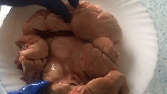 СЕКРЕТ СОЧНЫХ И ВКУСНЫХ КОТЛЕТ ИЗ ГОРБУШИ@vlogbynika9027 смотреть онлайн