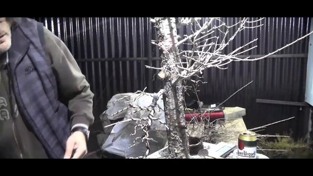 Larix decidua első alakítás смотреть онлайн