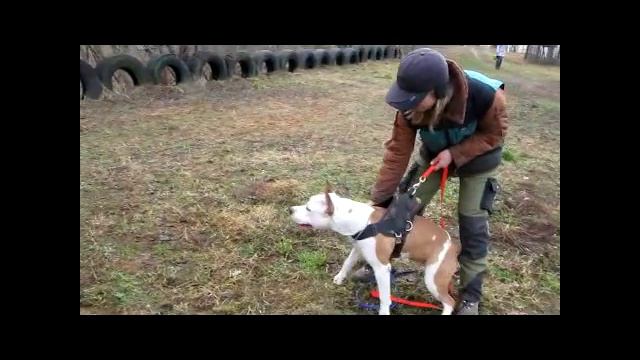 АСТ АИША защита смотреть онлайн