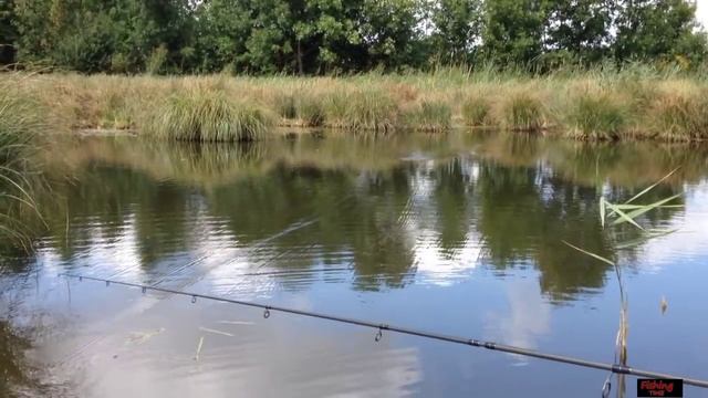 Ловля щуки летом на спиннинг*** //Spin fishing for pike// (мой видео отчет) смотреть онлайн