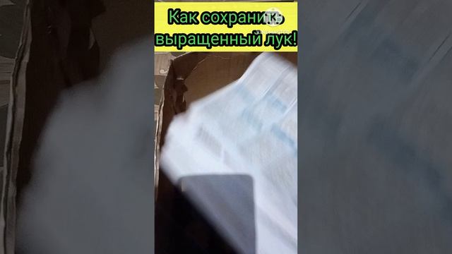 Как сохранить выращенный лук всю зиму!