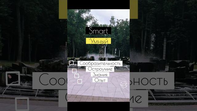 Разница между intelligent, clever и smart. Уроки английского. Daily English - Russian смотреть онлайн